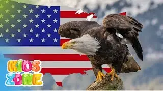 National birds of countries in the world for kids | Flags & countries names with national birds