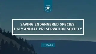 Saving Endangered Species: The Ugly Animal Preservation Society