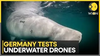 Germany: Defence Tech Company Tests Underwater Drones, Greyshark Drone Tested in Baltic Sea | WION