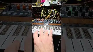 Putting this Vintage Arturia Microfreak to the test with some CV duties  #Jamuary2026 #Jamuary