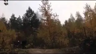 Thc trail,