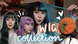 My Wig Collection! from Lush Wigs, Unzzy & Aliexpress