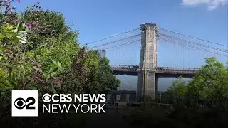 How Brooklyn Bridge Park has changed in 15 years
