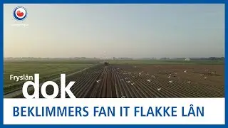 FRYSL&Acirc;N DOK: De Beklimmers fan it flakke l&acirc;n: #1 Perspektyf