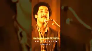 Cheb Khaled Maandi Haja Fenass  😎🔥 #music #raijdid #raialgerien #constantine #ra&iuml; #raijdid