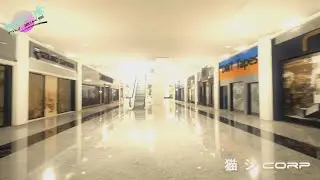 猫 シ Corp. - Palm Mall