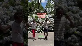 MAGA DANCE @ The park #trump  #gramado #beautifulplace