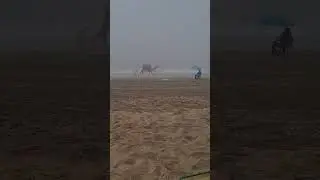 strand marokko Een rustgevend uitzicht