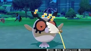 Pok&eacute;mon Sword/Shield - Playing Feather Wand with Hoothoot / Hoothoot