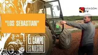 Hoy 