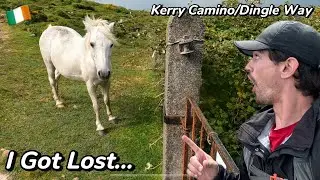 I Got Lost Looking for the Kerry Camino/Dingle Way | Tralee Co. Kerry | Ireland Travel Vlog 2.4
