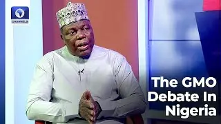 'GMOs Are Safe', NBRDA DG Challenges Naysayers | Hard Copy