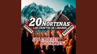 Cruzando el Puente