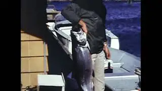 Port Alberni China Creek Marina 1968