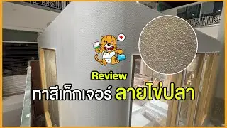 สีเทกเจอร์ ลาย spot | Toa Walltex | สีสร้างลาย | สีตกแต่งผนังภายใน