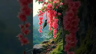 Quran Recitation in Urdu translation #google #whatsapp #trick #tips#love #kolkata #shahar #th18