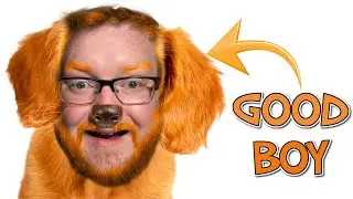 WE ARE THE DOG | The Dog: First Person Sniffer