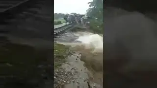 Bihar katihar flood (badh) mania(August 2017)