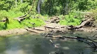 Boatpacking on the Little Miami