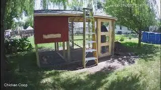 Chicken Coop with run, Day 20