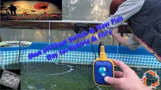Shut off Float Switch & New Fish Day for Bubble & Fin's   #koi #koipond #koicommunity #