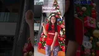 Merry xmas #highlights #merrychristmas ##apt