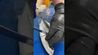 Butterfly Mackerel Fillet #fishmonger via thefishernaut
