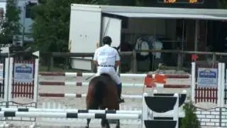 Querlybet Hero (webstallions.com)