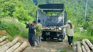 Journey of transporting wood from forest to farm: DUONG are excited to prepare to build a new house