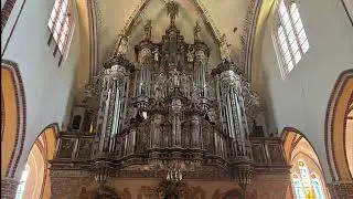 August Gottfried Ritter - II Sonata e-moll op. 19 (live recording)