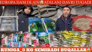 SHOK😳YANGLIK✊ENDI MOL BOQISH DAVRI K YEMCHI AKADAN SIZ IZLAGAN ENG SAMARALI Y🏃