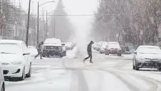 Beautiful Winter  Snowfall  Stock Footage  No Copyright Videos   Free HD videos   no copyright 1080p