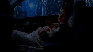 Overnight in the car during heavy rain | Stop Overthinking Tonight with Heavy Rain