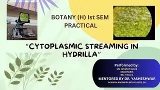 Microscopic Observation : Demonstration of Cytoplasmic Streaming