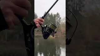 GLOBAL CAST 🎣🌎 #fishing