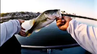 Back on the Grind! (Buena Vista Lake Bakersfield, Ca Bass Fishing)