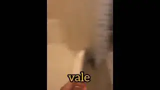 furras as vines 5 vale edition