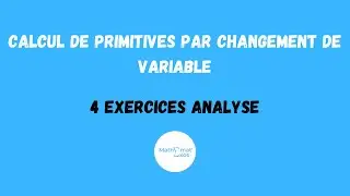 Calcul de primitives par changement de variable - 4 exercices analyse