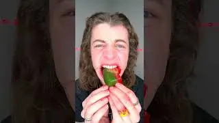 Giant Gummy Watermelon!? 🤤