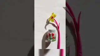 Empty paint bottle recycling for organization | Arcylic paint bottle reuse idea | Easy step by step🌷