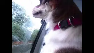 120503 里帰り１
