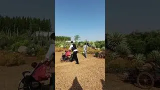 One Young Kham Farm ไร่ วัน ยัง ขำ บ้านมหาราช Tambon Chan Yai, Kantharalak, Si Sa Ket, Thailand 🇹🇭