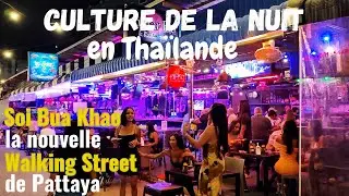 Vie nocturne à Pattaya : Soi Bua Khao et Tree Town