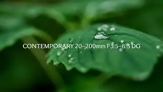 The Right Distance for Each Moment: Sigma 20-200mm F3.5-6.3 DG | Contemporary Lens