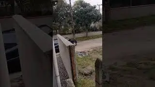 6x2 espingarda - Opala
