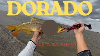 PESCA DORADO RIO DE LA PLATA - COSTA SALGUERO 2026