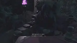 Ch15-1 Bio Re4 Berserker Plus