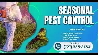 Seasonal pest control Dunedin, FL