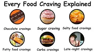 Every Food Craving Explained In 4 Minutes or Less