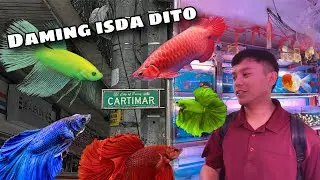 CARTIMAR presyo ng Isda AUGUST 2024 | Napadaan pero BUMILI